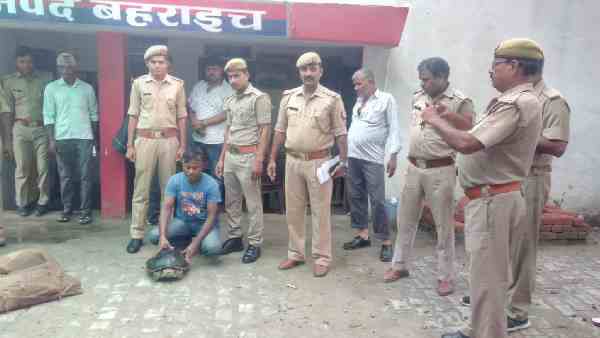 smuggler caught with eight tortoises smuggler caught with eight tortoises