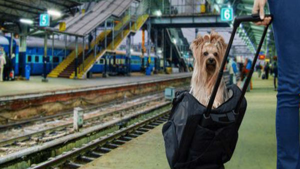 Now You carry your pet in Indian Railways train Ac Coach, Here is the New Rules Now You carry your pet in Indian Railways train Ac Coach, Here is the New Rules