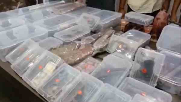 illegal weapon factory busted by the police, 12 arrested illegal weapon factory busted by the police, 12 arrested