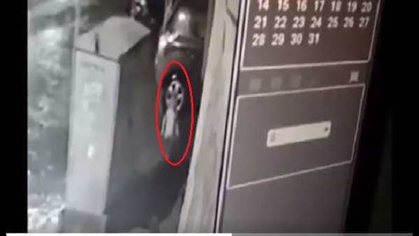 Mumbai: 3-year-old boy fell in a gutter in Goregaon, CCTV footage Mumbai: 3-year-old boy fell in a gutter in Goregaon, CCTV footage