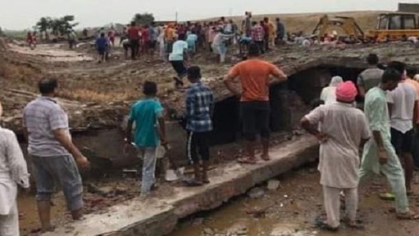 punjab: roof of cowshed collapsed in bathinda punjab: roof of cowshed collapsed in bathinda