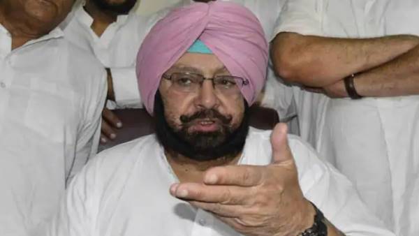 congress need young leader says Captain Amarinder Singh after rahul gandhi quit congress need young leader says Captain Amarinder Singh after rahul gandhi quit