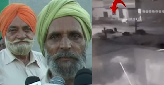Buffalo stolen at night in Patiala, incident recorded in CCTV Buffalo stolen at night in Patiala, incident recorded in CCTV