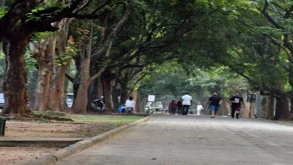 लोग अंजू की हिम्मत को दाद देने लगे