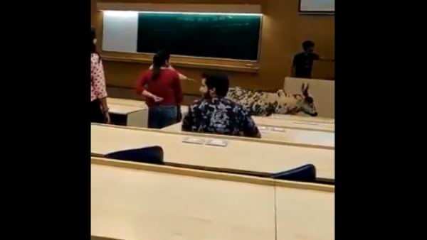 Cow Walks Through IIT Bombay Classroom, video viral Cow Walks Through IIT Bombay Classroom, video viral