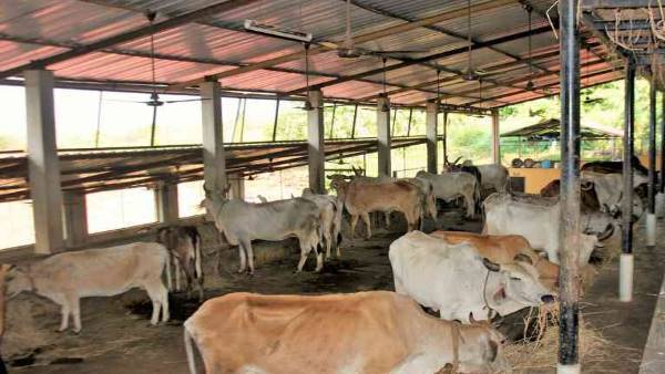 डीएम समेत तीन अधिकारियों को कारण बताओं नोटिस