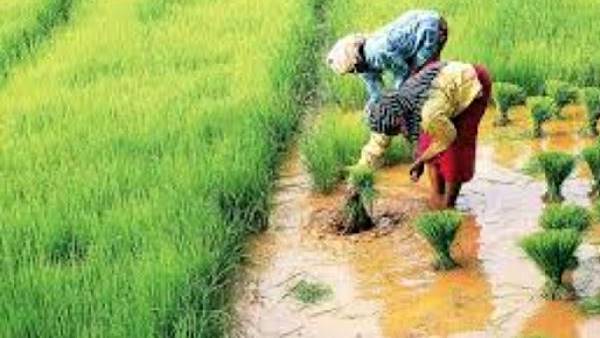 स्टेट लेवल कॉर्पस फंड स्थापित करने का भी प्रस्ताव