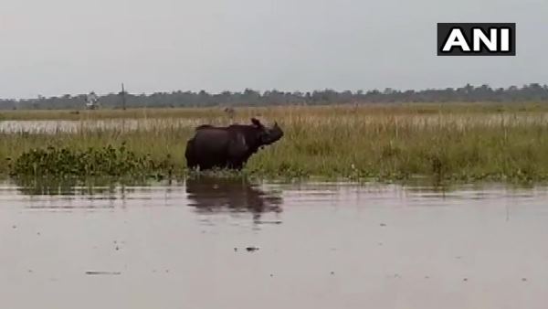 बाढ़ पीड़ितों की मदद को जुटी सेना
