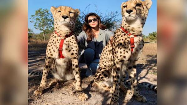इंस्टाग्राम पर फोटो शेयर कर फैंस के निशाने पर आईं सेनन