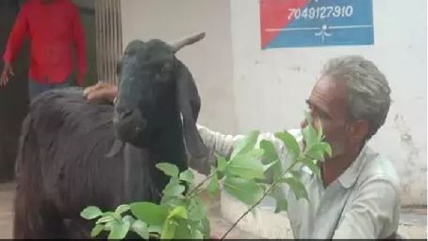 मामला सुलझाने में पुलिस को आए पसीने