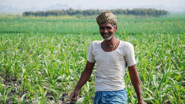 modi Cabinet approved the increase in the Minimum Support Prices for kharif crops modi Cabinet approved the increase in the Minimum Support Prices for kharif crops