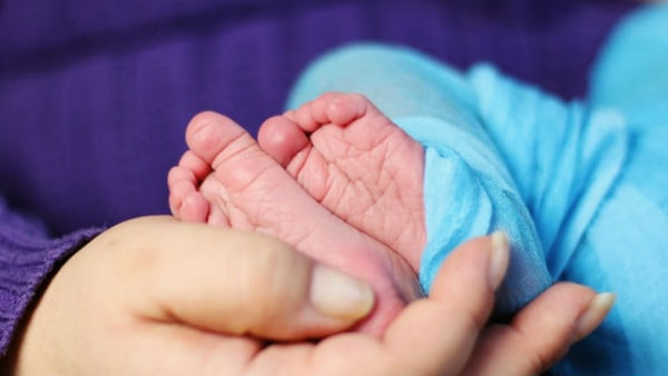 कुत्तों ने बचाई थी बच्ची की जान
