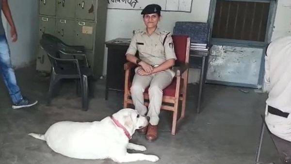 police adopted labrador dog Sultan After 5 murders Case of Sagar police adopted labrador dog Sultan After 5 murders Case of Sagar