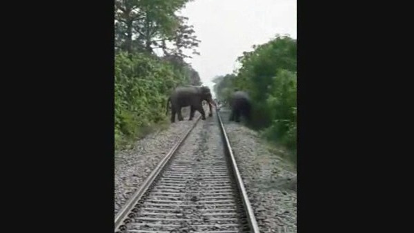 युवक को पैरों से रौंदकर मारा