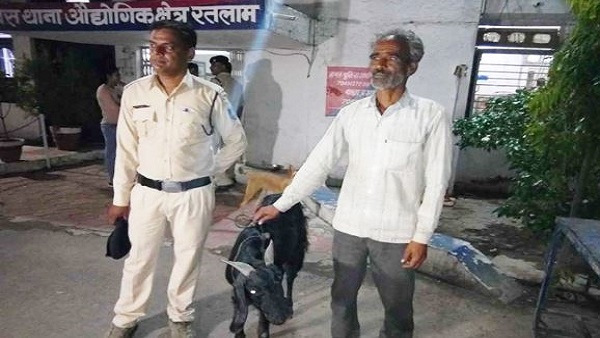 एक बकरी पर दो लोगों ने किया दावा