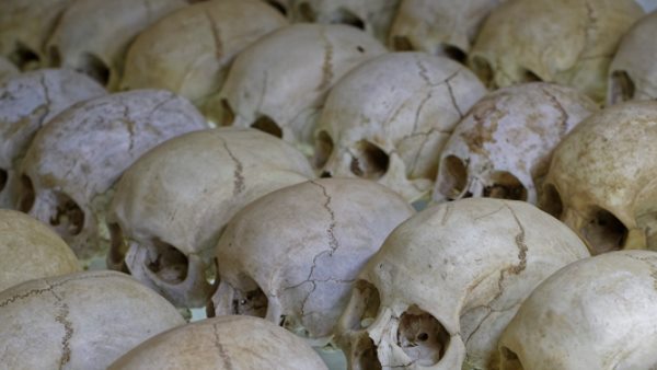 skull skull