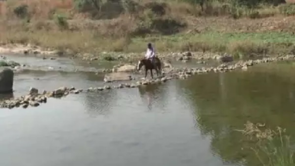 कई मंचों पर हुआ सम्मान