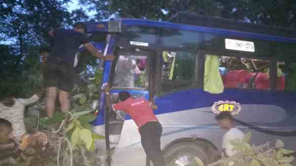 banyan tree fallen on the tourist bus, two dead banyan tree fallen on the tourist bus, two dead