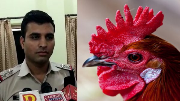 woman reached police station with five dead cock for complaint woman reached police station with five dead cock for complaint