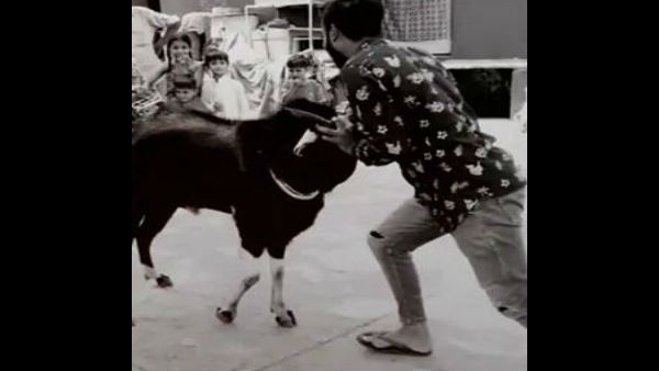 Bakrid 2019: When sacrificial goat attack on Man,Video goes viral Bakrid 2019: When sacrificial goat attack on Man,Video goes viral