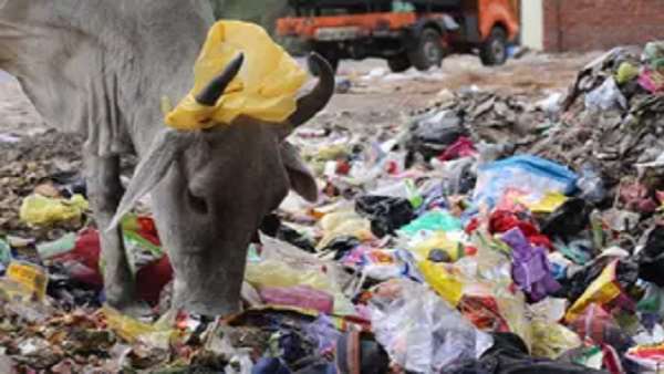 उठ रहे सवाल, क्या सभी तरह के प्लास्टिक पर रोक है?