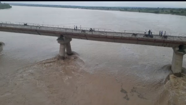 Alert: Chambal river flowing 4.91 meters above danger mark dholpur Alert: Chambal river flowing 4.91 meters above danger mark dholpur