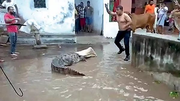 लोग घरों से बाहर निकलने में भी डर रहे