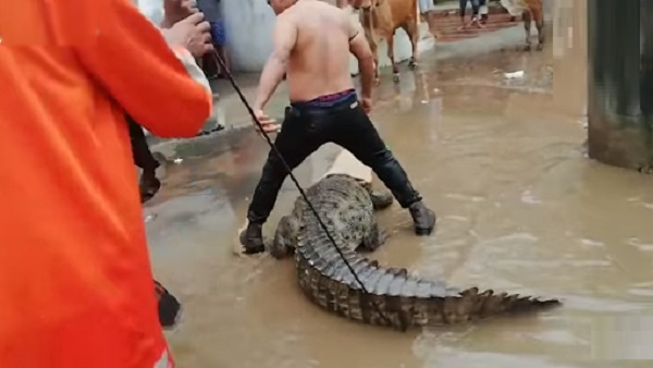 6 टीमों का गठन किया गया
