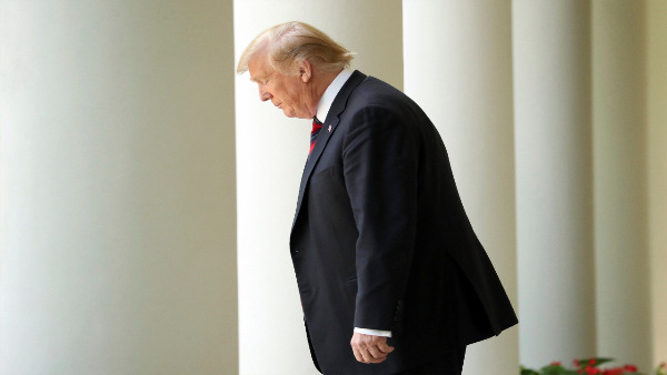 Donald trump Donald trump