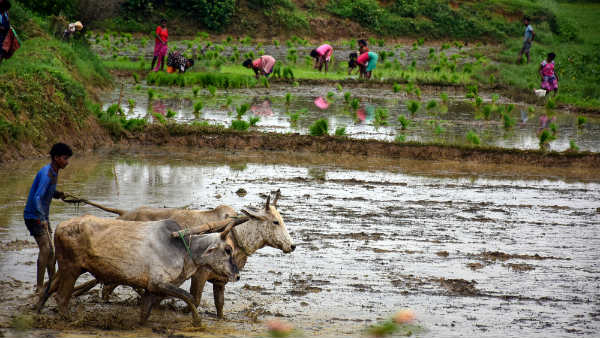 भारत व पड़ोसी देशों की कृषि पर प्रभाव