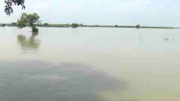 ganga river cross danger point ganga river cross danger point