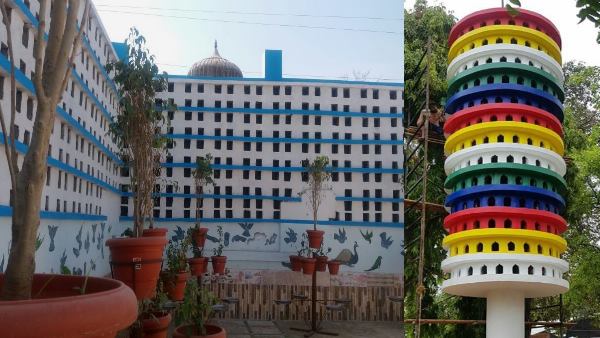 Special Flat for Birds in Jhunjhunu and sri ganganagar Special Flat for Birds in Jhunjhunu and sri ganganagar