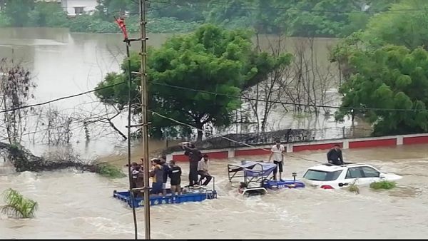 Gujarat Rains: More than 12 inch Rain under six hours at olpad Gujarat Rains: More than 12 inch Rain under six hours at olpad