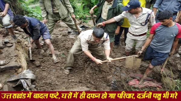 45 बकरियां, 2 गाय व 1 बछडा जिंदा दफन