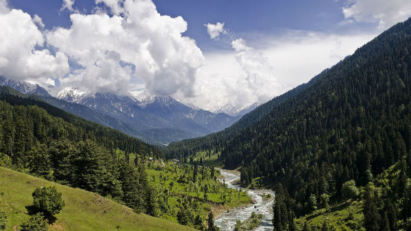 कश्मीर के पास क्या थे अधिकार