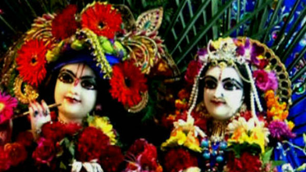 गायों और बछड़ों का भी श्रंगार हुआ...