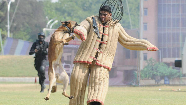 वाई श्रेणी