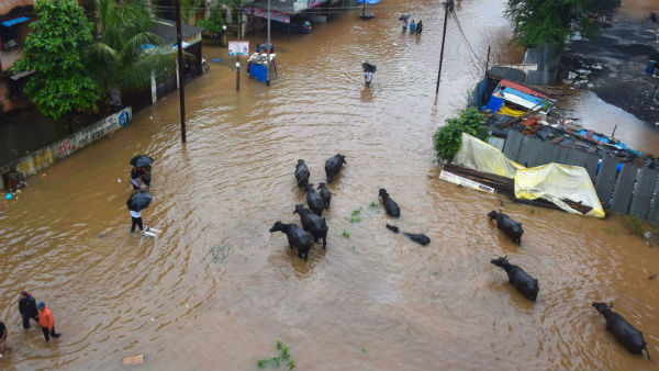 महाबलेश्वर ने चेरापूंजी का रिकॉर्ड तोड़ा