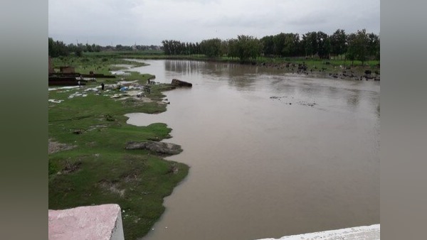 किसानों ने डांटा, वे फिर से नहाने लगे