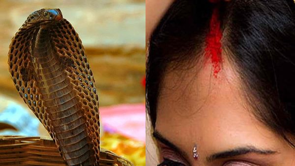 girl claims snake weds her girl claims snake weds her