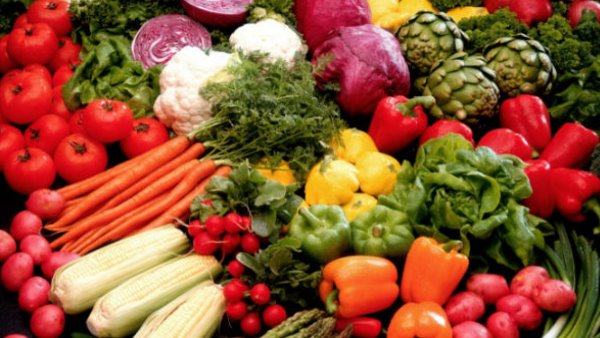 un body report says to adopt a green diet and help save earth un body report says to adopt a green diet and help save earth