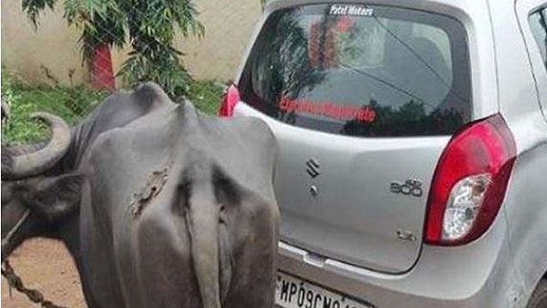 आरोपों को नायब तहसीलदार ने बेबुनियाद बताया