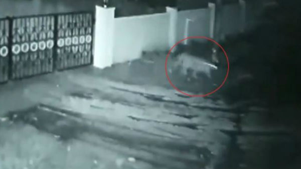 Viral video: Leopard enters house in Karnataka, takes away owners pet dog Viral video: Leopard enters house in Karnataka, takes away owners pet dog