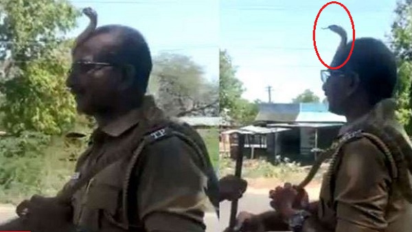 पुलिस वाले के सिर पर जा बैठा सांप
