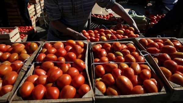 महाराष्ट्र और कर्नाटक में भारी बारिश से फसल को नुकसान