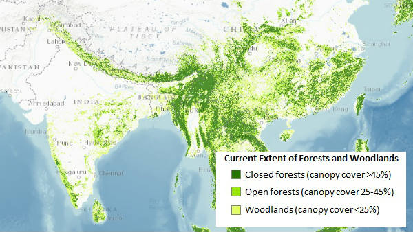 Current Forest Coverage Current Forest Coverage