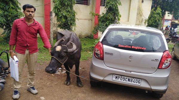 नायब तहसीलदार पर 25 हजार रु घूस मांगने का आरोप