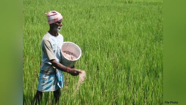 Farmers of UP not received third installment of PM Kisan Yojana Farmers of UP not received third installment of PM Kisan Yojana
