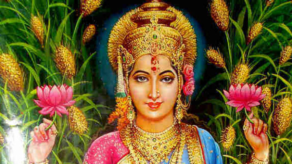 जलझूलनी एकादशी का महत्व