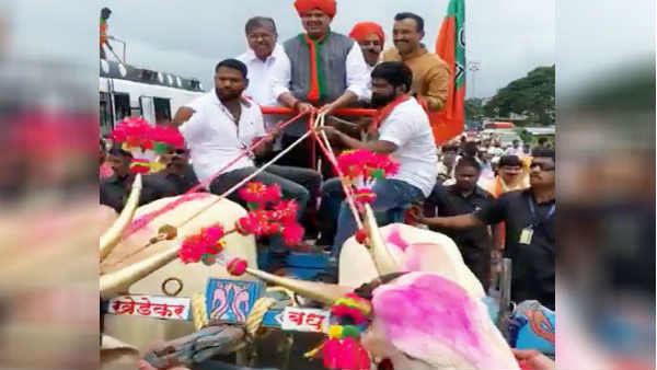 VIDEO: जब बैलगाड़ी से प्रचार के लिए निकले सीएम देवेंद्र फडणवीस, खुद संभाली लगाम VIDEO: जब बैलगाड़ी से प्रचार के लिए निकले सीएम देवेंद्र फडणवीस, खुद संभाली लगाम